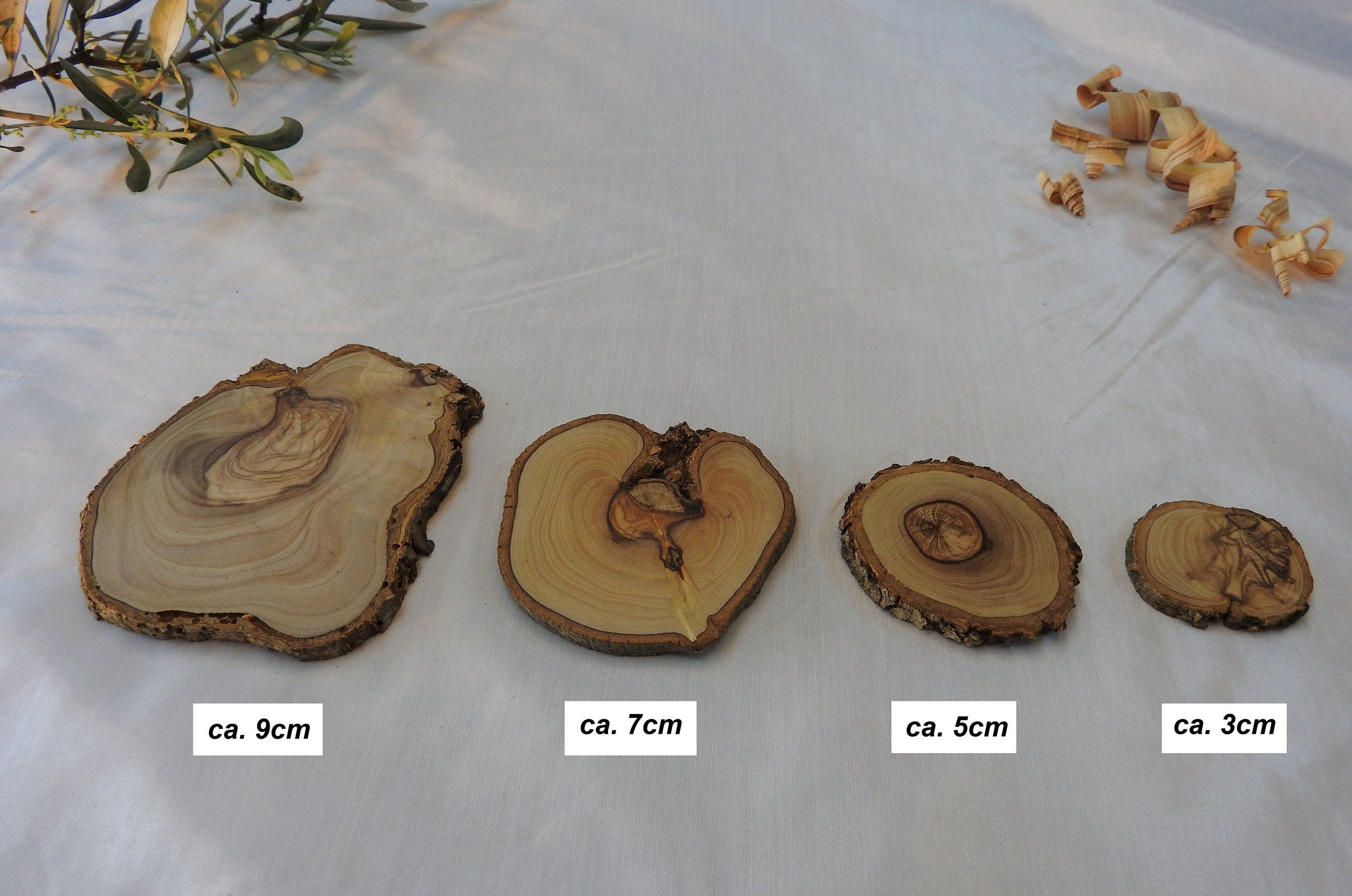 2 kg olive wood slices, various sizes, cleanly cut blanks, untreated,
