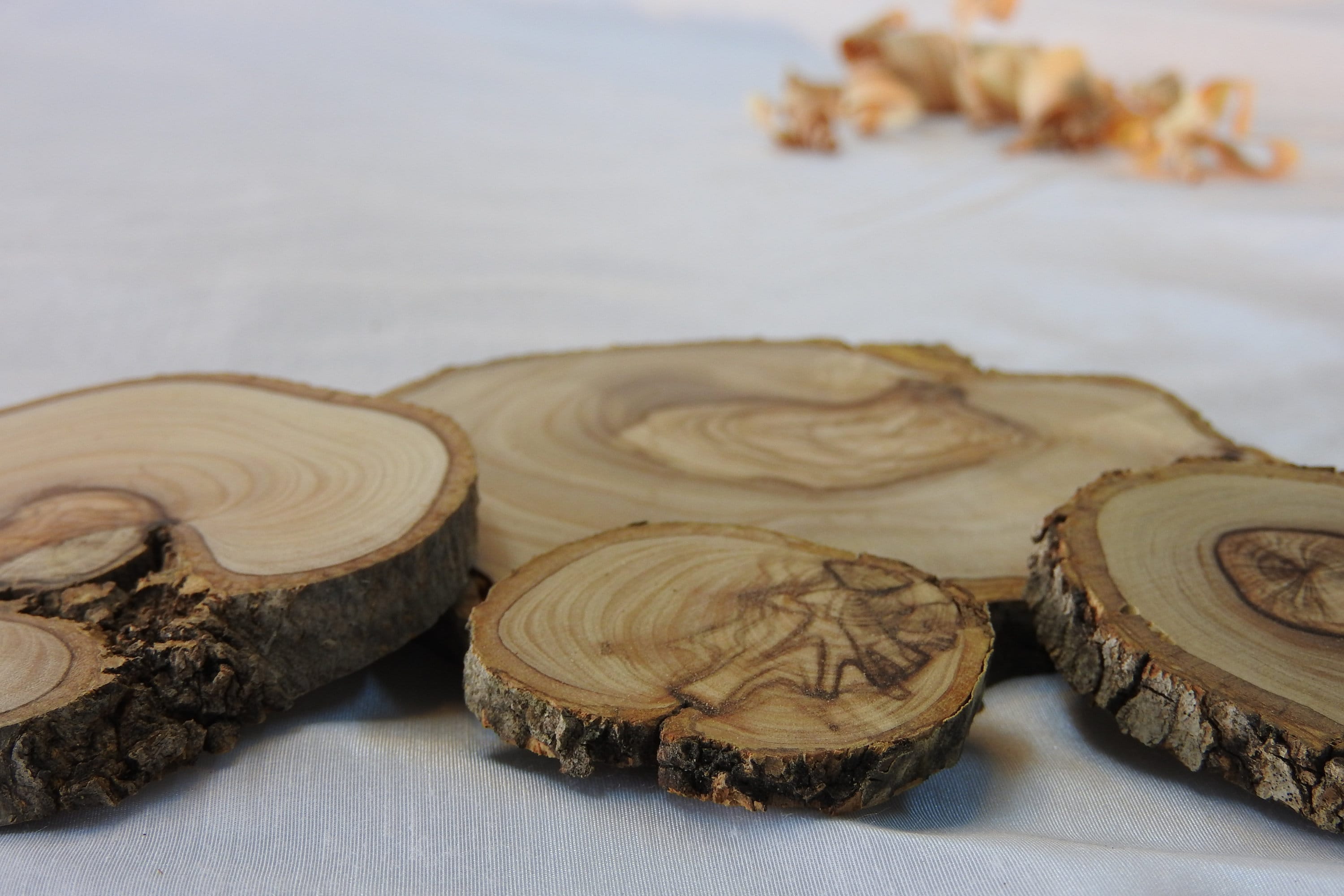 2 kg Olivenholz-Scheiben, verschiedene Größen, Rohlinge sauber geschnitten, unbehandelt,