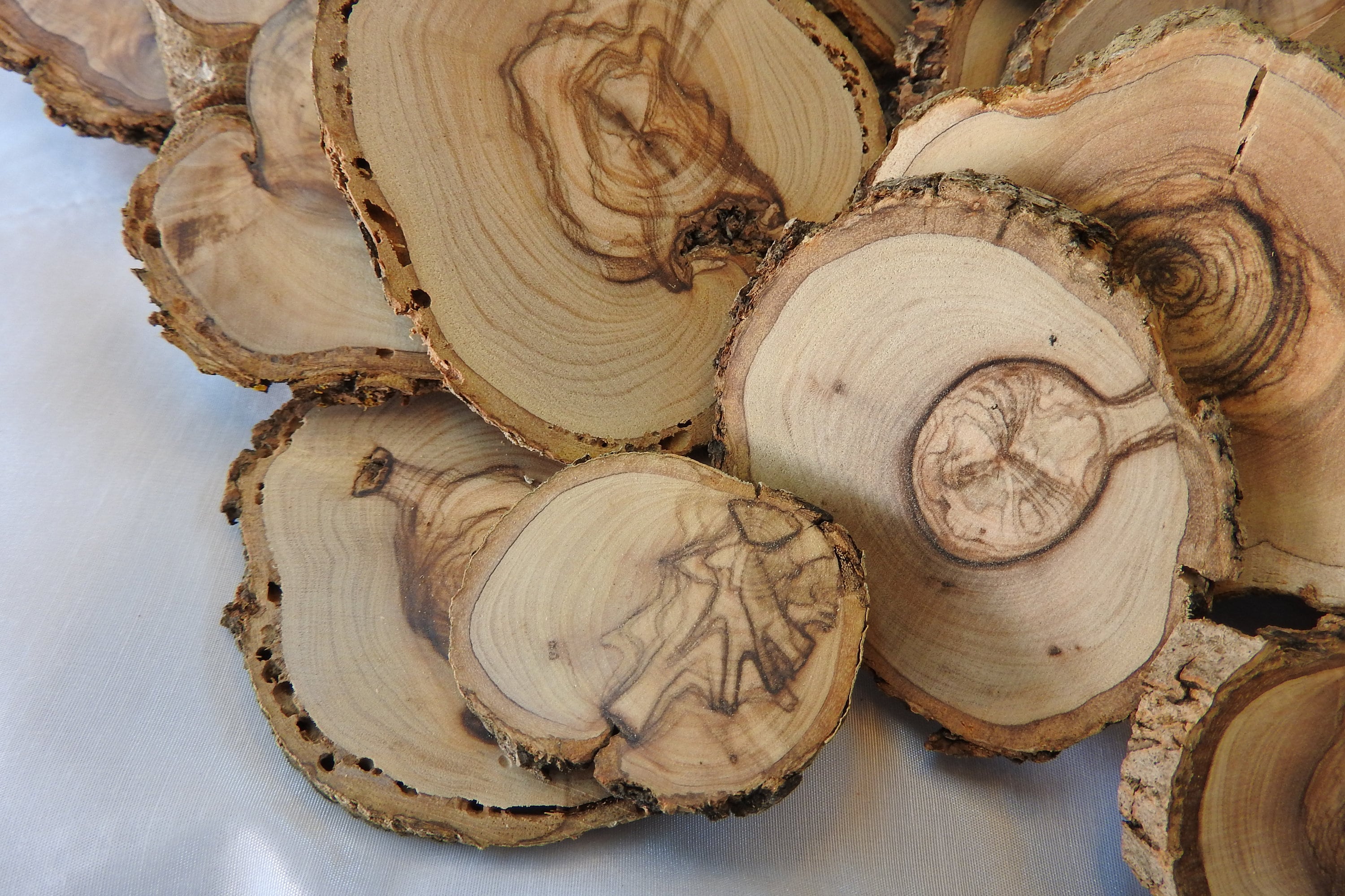 1 kg Olivenholz-Scheiben, verschiedene Größen, Rohlinge sauber geschnitten, unbehandelt,