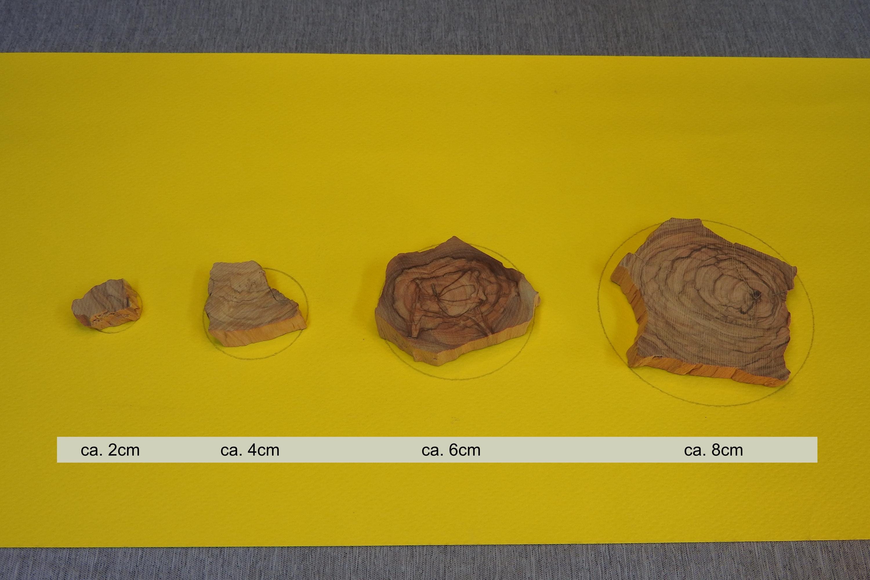 NEW: Split olive wood pieces, blanks specifically for epoxy resin work