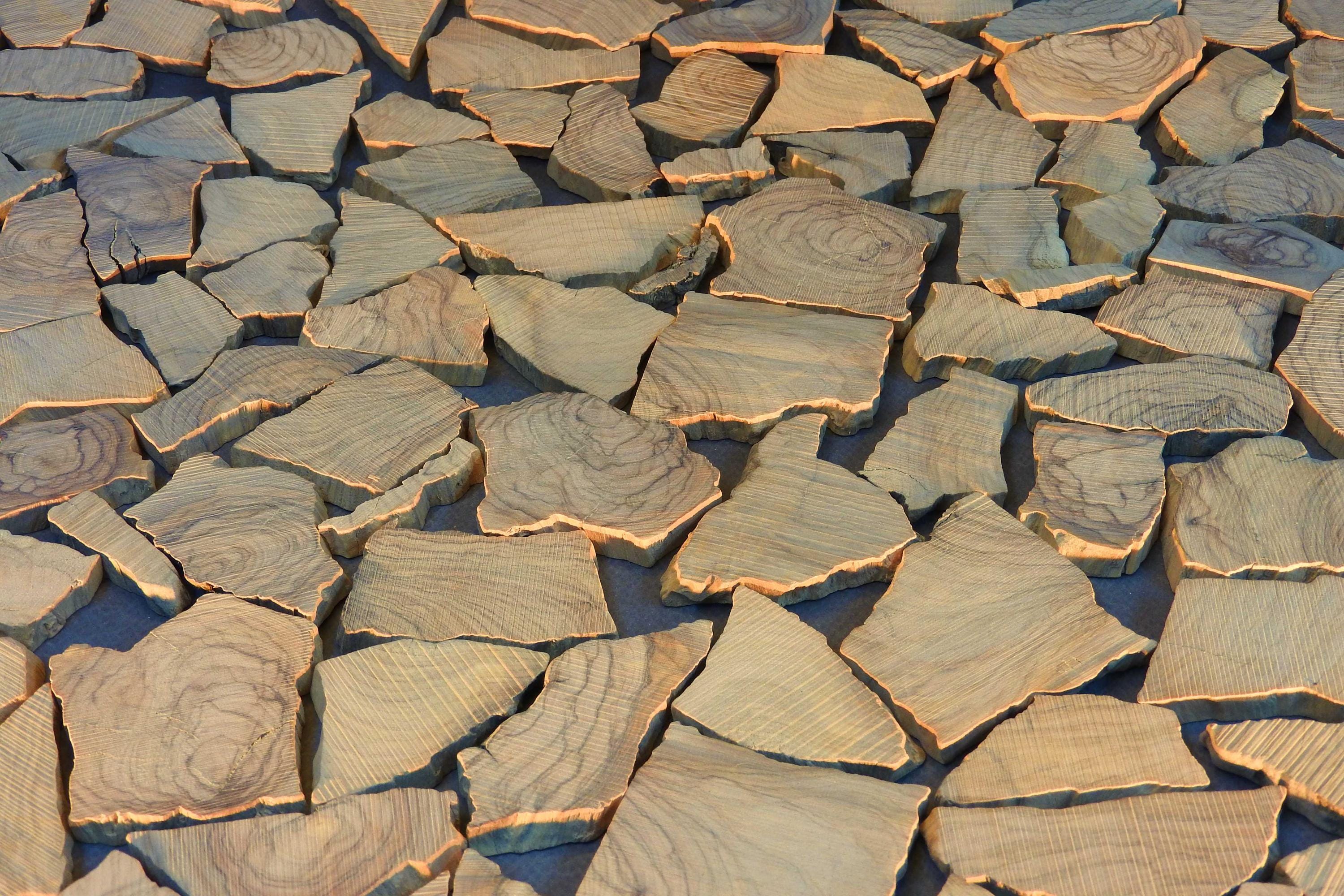 NEW: Split olive wood pieces, blanks specifically for epoxy resin work