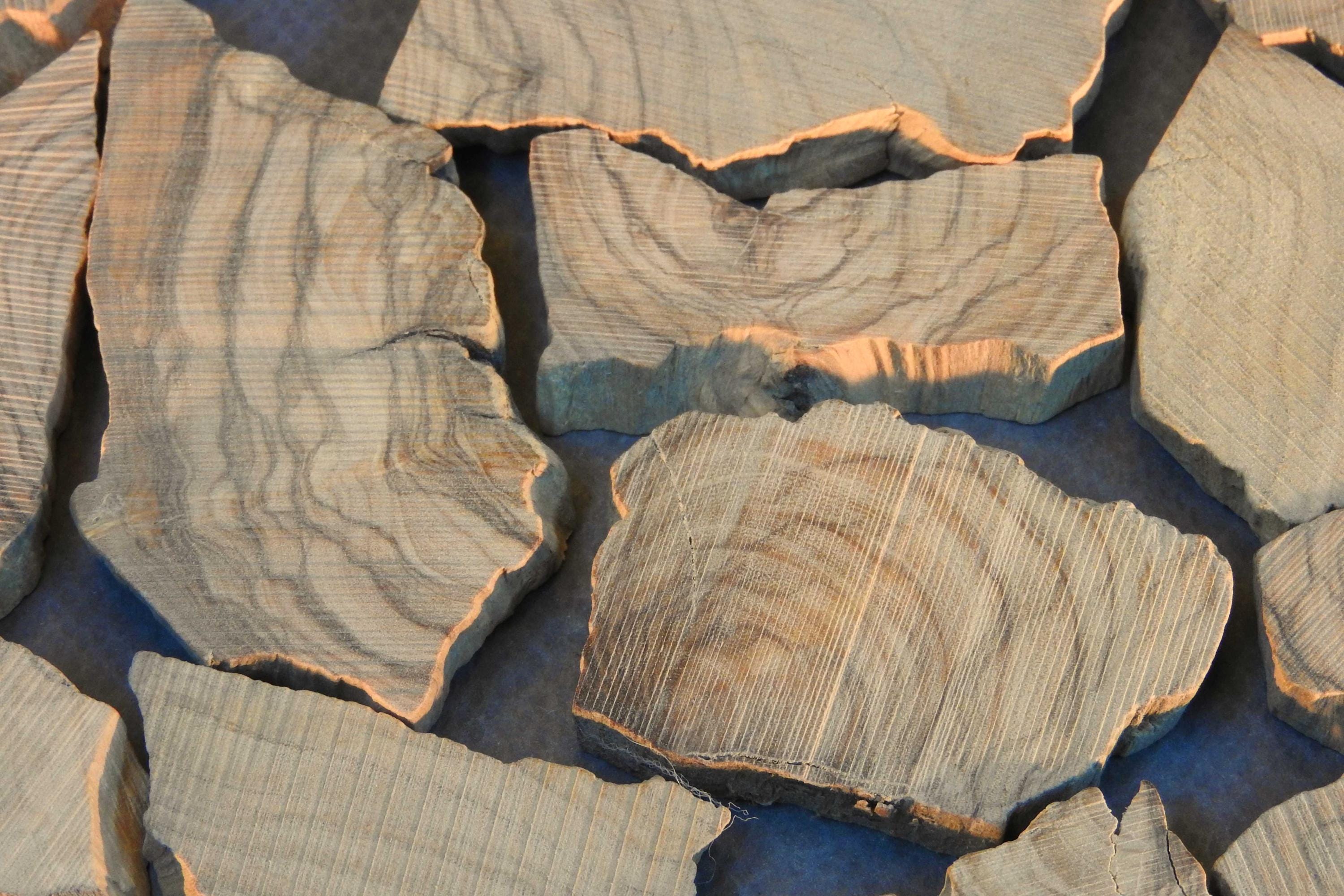 NEW: Split olive wood pieces, blanks specifically for epoxy resin work